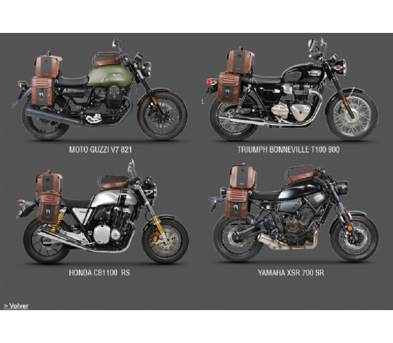 Fijacin Alforja Shad sh38..