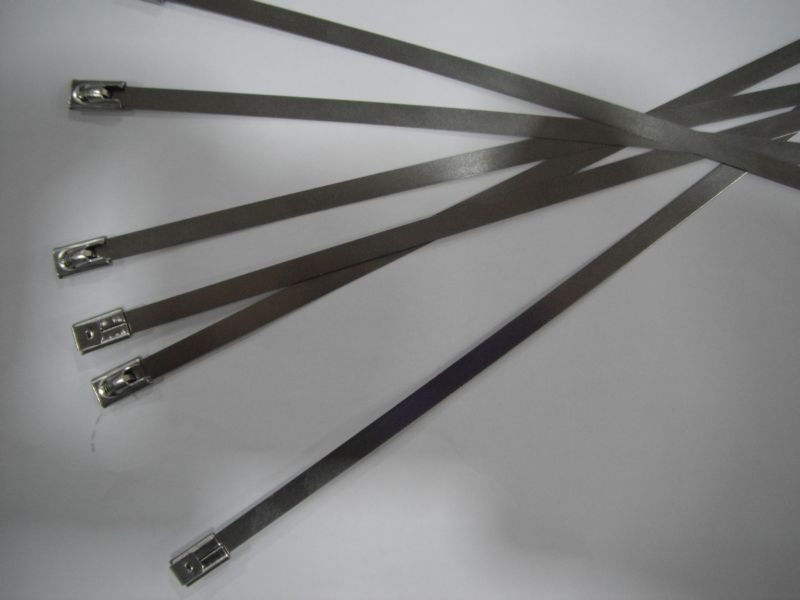 Abrazaderas Bridas de acero inoxidable 266x4,6mm