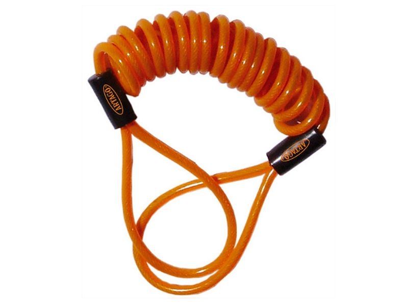 CABLE MEMORIA ARTAGO R1