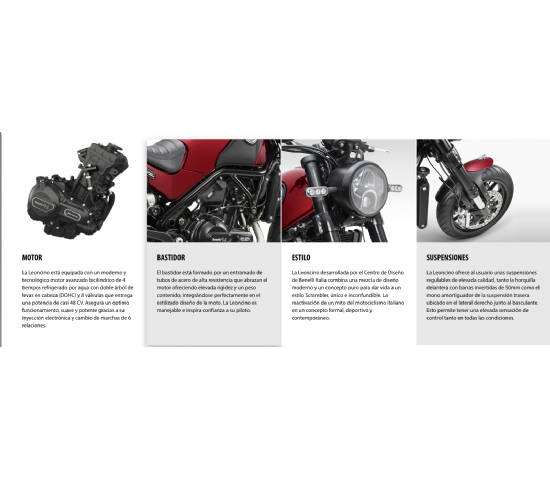 CARACTERISTICAS LEONCINO